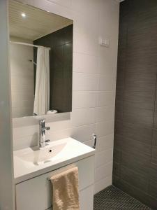 Apartment & BBQ & free parking