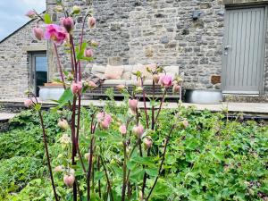 Pass the Keys Stunning 3-Bed Cottage Shepherd Hut Peak Views