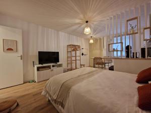 Appartements Studio Intime & Chaleureux - Terrasse privative - Lyon Sud : photos des chambres