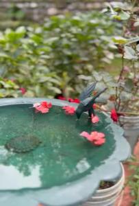 Bliss 3 Bedroom Villa Nainital Hills