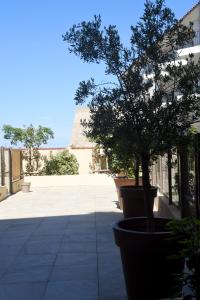 Appartements Citadella Calvi confort chaleureux et climatise : Studio