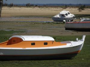 Maisons de vacances Maison spa de nage port plage bassin d-Arcachon : photos des chambres