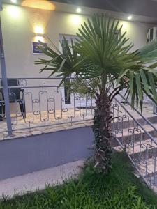 Apartments&studio Villa Antigona