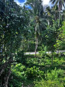 Secluded Couples Getaway Eco Mountain Romance