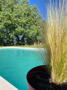 Casa Rural Teja Vieja