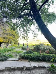 Mooiplaas Guest Farm