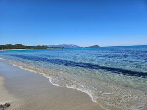 Sa Mesaluna Naturhouse