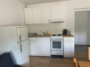 Apartma Škorenjček 