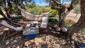 Casa Antiga da Corte Salva