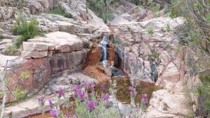 Sa Mesaluna Naturhouse