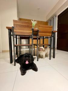 Pet Friendly 2BR Condo with PS4 near Abreeza