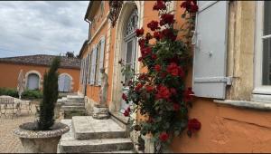 B&B / Chambres d'hotes Chateau Ciers : photos des chambres