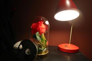 Appartements LE MOULIN DES PLAISIRS atypical SM experience : photos des chambres