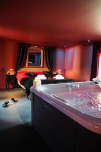 Appartements LE MOULIN DES PLAISIRS atypical SM experience : photos des chambres