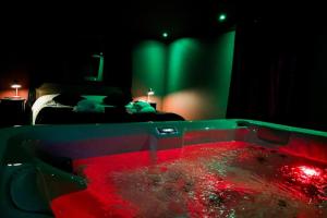 Appartements LE MOULIN DES PLAISIRS atypical SM experience : photos des chambres