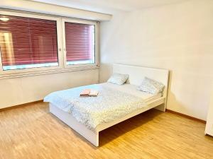 Downtown Apartments next to Lake in the Heart of Lucerne City Center Alpen