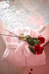 Appartements LOVE ROOM Love and Spa, Nature and Rest : photos des chambres