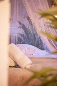 Appartements Jungle Room - La Cabane : photos des chambres