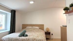 Appartements Le Confortable Centre Ville : photos des chambres