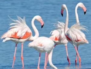 Casa vacanza King's House img4