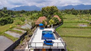 WiNy Kubu Reod by Lovina