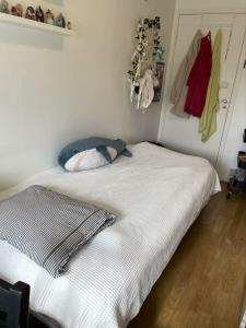 Alice home