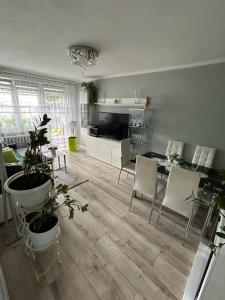 BM Apartament