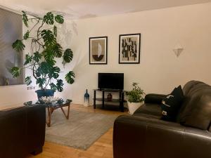 Beautiful Loft City Centre, Liverpool 1