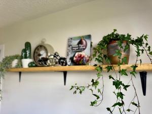 The Ivy Nest, central