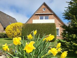 Ferienwohnung Strandsegler
