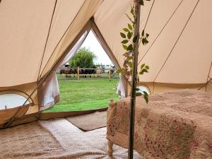 Alpaca view emperor bell tent