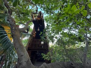 OccA Pipa - Cabana PicaPau