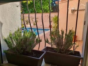 Appartements Large quiet house with pool : photos des chambres
