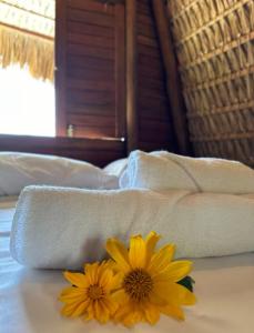 OccA Pipa - Cabana PicaPau