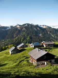 Bergluft Apartment MELLAU