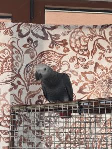 Wellness Penzion Zora Family