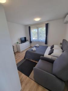 Studio Apartment Petra Umag