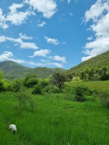 Roulotte du domaine de la Graou