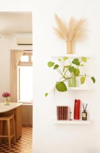 Appartement Centre-Ville