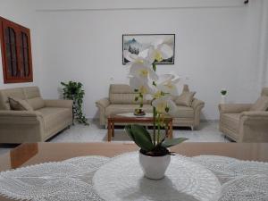 Vickys Apartment, Aliko