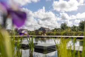 Hello Zeeland - Tiny House Zeeuwse Liefde 16
