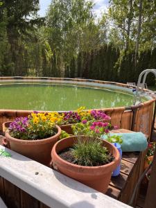 Uroczy dom nad jeziorem Śniardwy tuż obok plaży