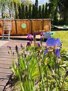 Uroczy dom nad jeziorem Śniardwy tuż obok plaży