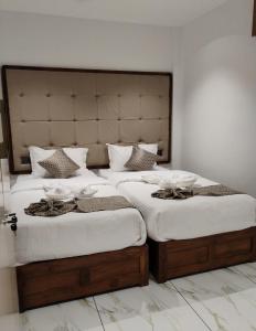 DQ Premium Apartments