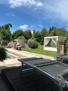 MIRTILLO di Home Hill