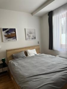 Apartman Vila Jaram, Kopaonik