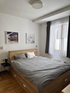 Apartman Vila Jaram, Kopaonik