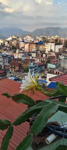 Sunshine homestay