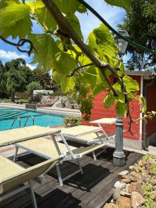 BASILIMO di Home Hill