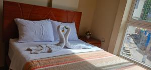 Haylli Café Oro Hotel